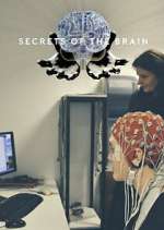 Watch Secrets of the Brain Solarmovie
