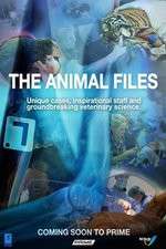 Watch The Animal Files Solarmovie