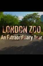 Watch London Zoo: An Extraordinary Year Solarmovie