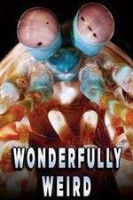 Watch Wonderfully Weird Solarmovie