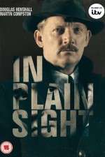 Watch In Plain Sight Solarmovie