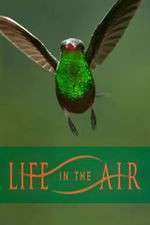 Watch Life in the Air Solarmovie