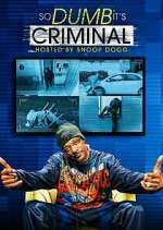 Watch So Dumb It's Criminal Solarmovie