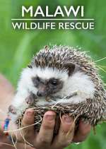 Watch Malawi Wildlife Rescue Solarmovie
