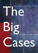 Watch The Big Cases Solarmovie