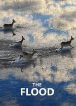 Watch The Flood Solarmovie