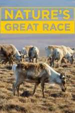 Watch Nature's Great Race Solarmovie