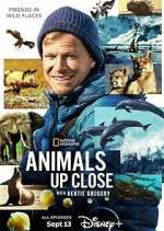 Watch Animals Up Close with Bertie Gregory Solarmovie