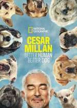 Watch Cesar Millan: Better Human Better Dog Solarmovie