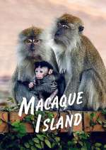 Watch Macaque Island Solarmovie