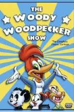 Watch The Woody Woodpecker Show Solarmovie