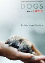 Watch Dogs Solarmovie