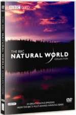 Watch The Natural World Solarmovie