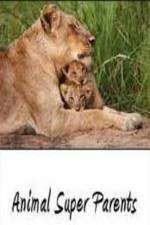 Watch Animal Super Parents Solarmovie