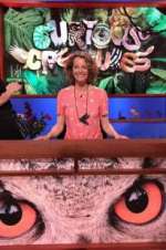 Watch Curious Creatures Solarmovie
