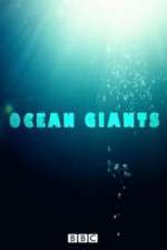 Watch Ocean Giants Solarmovie