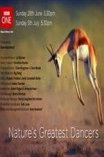 Watch Nature's Greatest Dancers Solarmovie