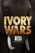 Watch Ivory Wars Solarmovie