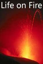 Watch Life on Fire Solarmovie