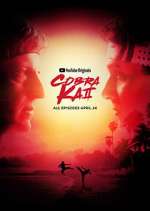 Watch Cobra Kai Solarmovie