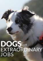 Watch Dogs with Extraordinary Jobs Solarmovie