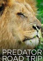 Watch Predator Road Trip Solarmovie