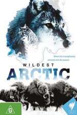 Watch Wildest Arctic Solarmovie