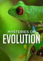 Watch Mysteries of Evolution Solarmovie