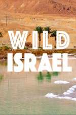 Watch Wild Israel Solarmovie