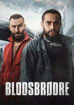 Watch Blodsbrødre Solarmovie