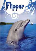 Watch Flipper Solarmovie