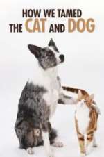 Watch How We Tamed the Cat and Dog Solarmovie