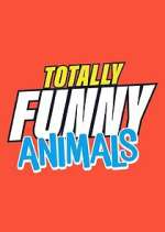 Watch Totally Funny Animals Solarmovie