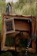 Watch Anna's Wild Life Solarmovie