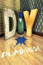 Watch DIY Dummies Solarmovie