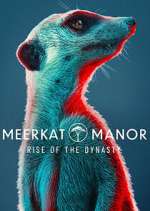 Watch Meerkat Manor: Rise of the Dynasty Solarmovie