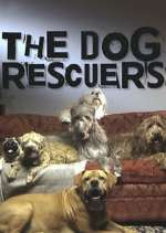 Watch The Dog Rescuers with Alan Davies Solarmovie