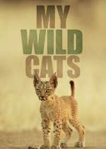 Watch My Wild Cats Solarmovie