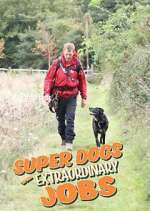Watch Super Dogs with Extraordinary Jobs Solarmovie