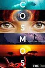 Watch Cosmos A SpaceTime Odyssey Solarmovie