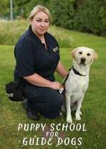 Watch Puppy School for Guide Dogs Solarmovie