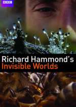 Watch Richard Hammond's Invisible Worlds Solarmovie