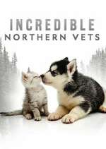 Watch Incredible Northern Vets Solarmovie