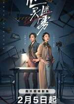 Watch Lies Never Lie Solarmovie