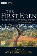 Watch The First Eden Solarmovie
