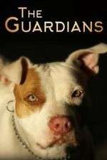 Watch The Guardians Solarmovie