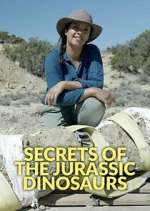Watch Secrets of the Jurassic Dinosaurs Solarmovie
