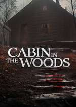 Watch Cabin in the Woods Solarmovie