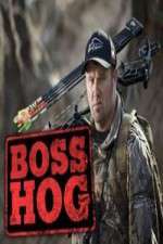 Watch Boss Hog Solarmovie