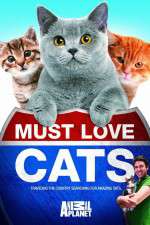 Watch Must Love Cats Solarmovie
